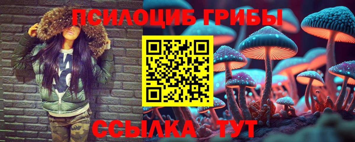 Псилоцибиновые грибы Psilocybe Артём